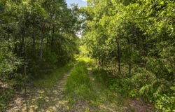 4034 Pencreek Road, Johnston, SC 29832