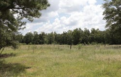 839 Co Rd 109, Montevallo, AL 35115