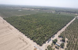 24290 Avenue 5, Madera, CA 93637
