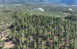 159 Buck Lane, Hayfork, CA 96041