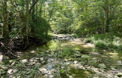 8000 Taft HWY, Dry Ridge, KY 41035