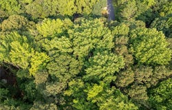 0 Crabapple Lane NW, Powder Springs, GA 30127