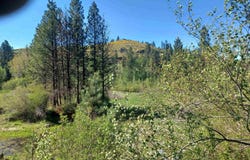 00 Peaceful Pines Rd, Council, ID 83612