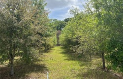300 E HIGHWAY 316, CITRA, FL 32113