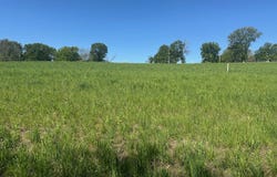 55623 230th Street, Glenwood, IA 51534