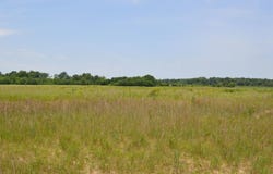40 Acres, Fisher, AR 72429