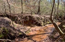 0 Dogwood Drive, Jackson, AL 36545