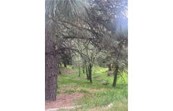0 Jewel, Crestline, CA 92325