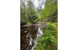 286 Upper Hostile Valley Road, Liberty, ME 04949