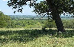 2041 FM933, Aquilla, TX 76622