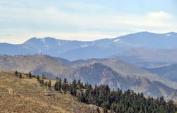 7 Meadow Mountain Dr, Livermore, CO 80536