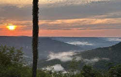 755 Sunset Circle lot: Sv-109, Jasper, TN 37347