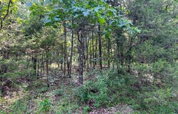 0 Mimeaux Court, Bonne Terre, MO 63628