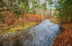 40 E Putney Brook Road, Putney, VT 05346