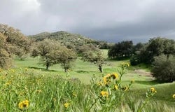 Tule Springs Road, Julian, CA 92036
