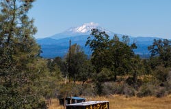 Lack Creek, Shingletown, CA 96088