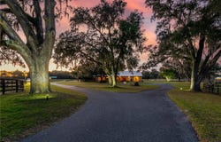 6140 NW 145TH AVENUE ROAD, MORRISTON, FL 32668