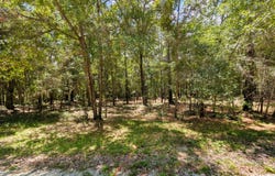 0 Magill Drive, Georgetown, SC 29440
