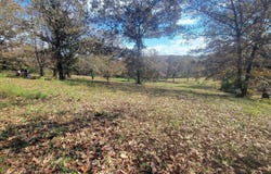 000 Fox Chase, Flippin, AR 72634