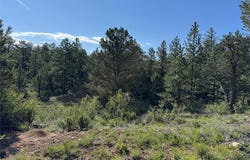 69 Coyote Run Road, Cotopaxi, CO 81223
