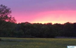 6 Hawthorn Way, Trinity, AL 35673