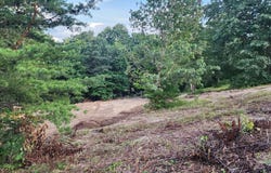 373 Forest Trail Drive, Berea, KY 40403
