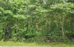 Barton Bridge Road lot: 6, Monroe, GA 30655