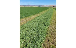 67502 Scott Rd, Hines, OR 97738