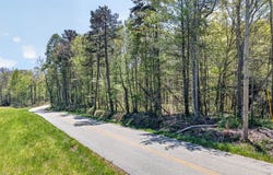 Smith Mountain Rd lot: 5, Rockwood, TN 37854