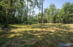 21.4 County Road 14, Flat Rock, AL 35966