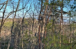 0 Henderson Springs Road, Pigeon Forge, TN 37863