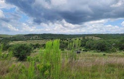 1395 Mountain Creek Road, Marble Falls, TX 78654