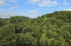 Spaws Creek Road, West Liberty, KY 41472