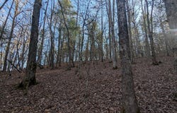 Ivy Log Drive, Blairsville, GA 30546