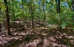 Dee Smith Road, Westville, OK 74965