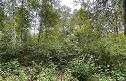 Lot 2 Patriot Ave, Pequot Lakes, MN 56472