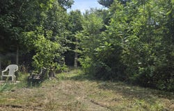 52599 36th Avenue, Bangor, MI 49013