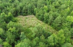 0 State Route 240, Ideal, GA 31041