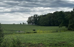 0 Union Grove Road, Lewisburg, KY 42256