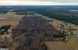 48.1 acres MORRIS MILL ROAD, MILLSBORO, DE 19966