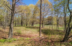 Lot 1 Roxmont Road, Rockport, ME 04856
