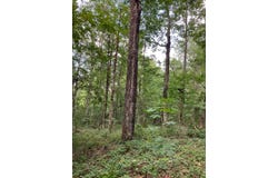 0 Co rd 10, Montevallo, AL 35115