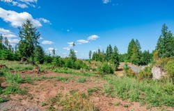 S Silver Lake, CastleRock, WA 98611