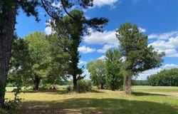 11443 Whitehead Road, Branchville, VA 23828