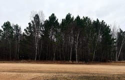 2083 Stanton Drive, Baudette, MN 56623
