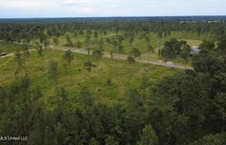 Kirklin Road, Tylertown, MS 39667