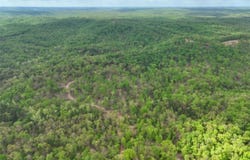 Lot 4 State AA Road, Roach, MO 65787