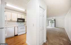 753 CANVASBACK COURT, SALISBURY, MD 21804