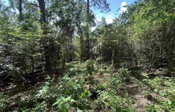 10790 Cattle Branch Court, Mobile, AL 36608