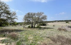 Tract 3 CR 4717, Kempner, TX 76539